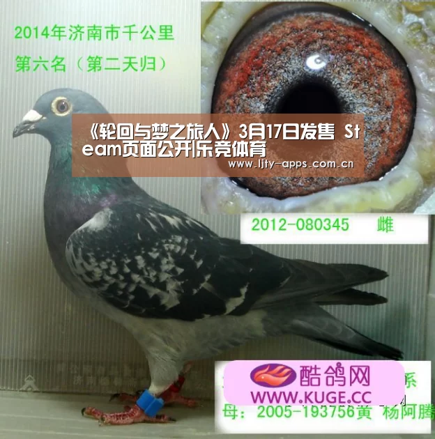 《轮回与梦之旅人》3月17日发售 Steam页面公开|乐竞体育(图1) 乐竞体育平台