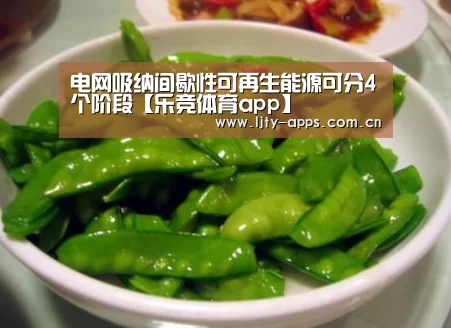 电网吸纳间歇性可再生能源可分4个阶段【乐竞体育app】(图2) 乐竞体育下载