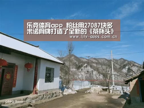 乐竞体育app_粉丝用27087块多米诺骨牌打造了全新的《茶杯头》(图4) 乐竞体育平台