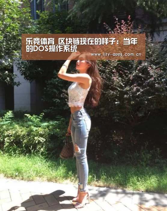 乐竞体育_区块链现在的样子:当年的DOS操作系统(图3) 乐竞体育平台