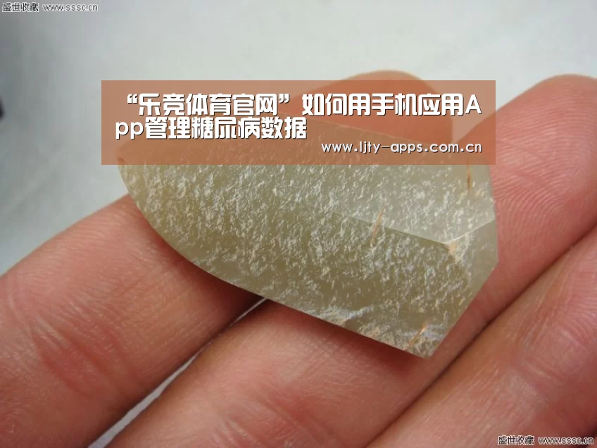 乐竞体育官网