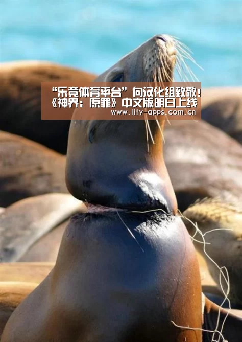 “乐竞体育平台”向汉化组致敬!《神界:原罪》中文版明日上线(图1) 乐竞体育平台