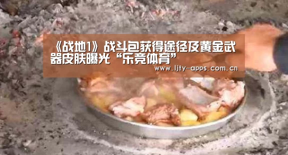 乐竞体育下载