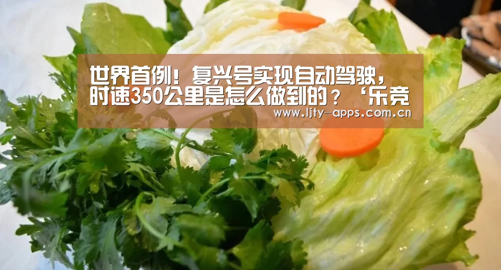 世界首例!复兴号实现自动驾驶,时速350公里是怎么做到的?‘乐竞体育下载’(图2) 乐竞体育