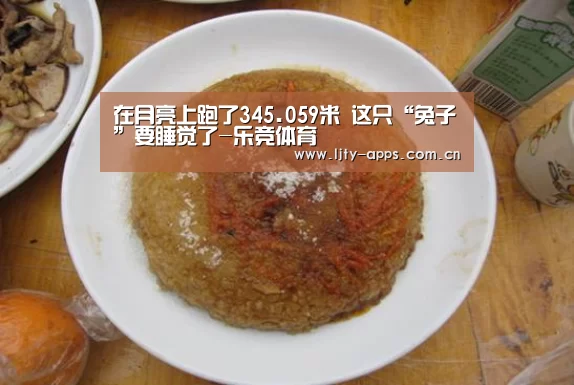 在月亮上跑了345.059米 这只“兔子”要睡觉了-乐竞体育(图2) 乐竞体育app