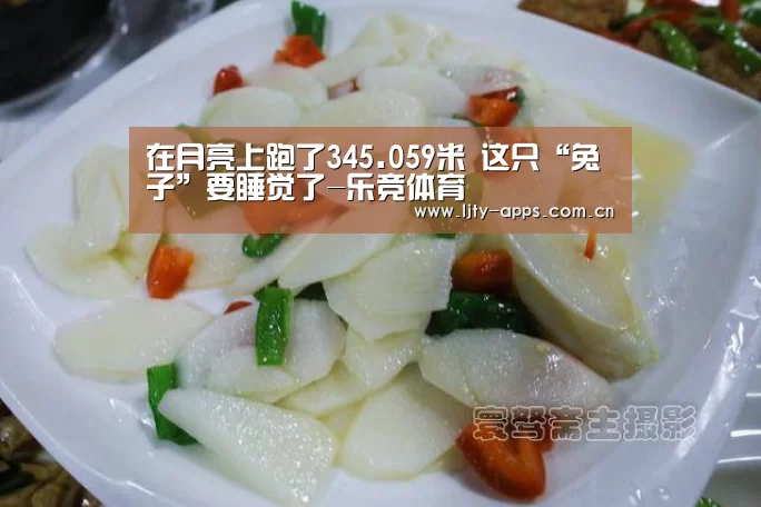在月亮上跑了345.059米 这只“兔子”要睡觉了-乐竞体育(图4) 乐竞体育app